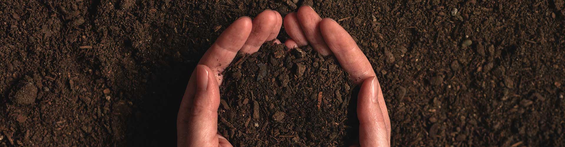 Página Inicial - Laboratório Biológico